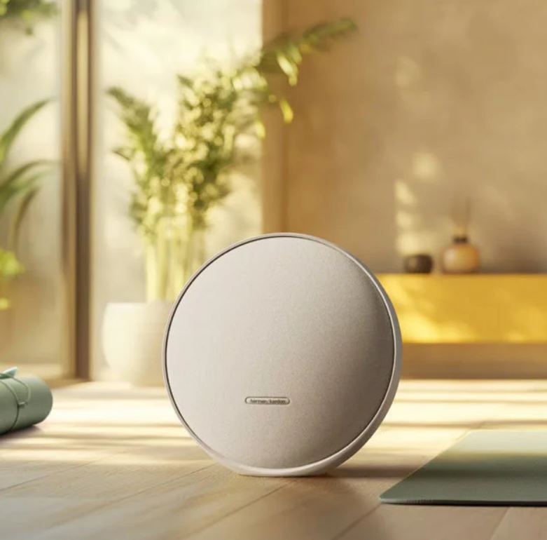 Harman Kardon Portable Bluetooth Speaker Grey - Metro Homecentre Menlyn
