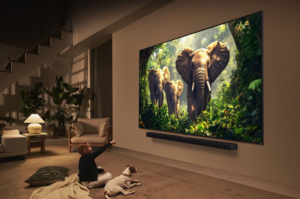 LG 10in QNED Evo AI MiniLed 4K 120Hz TV 10QNED86A6 - Metro Homecentre Menlyn
