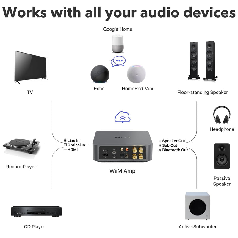 WiiM Amp Multiroom Stream Amplifier - Metro Homecentre Menlyn
