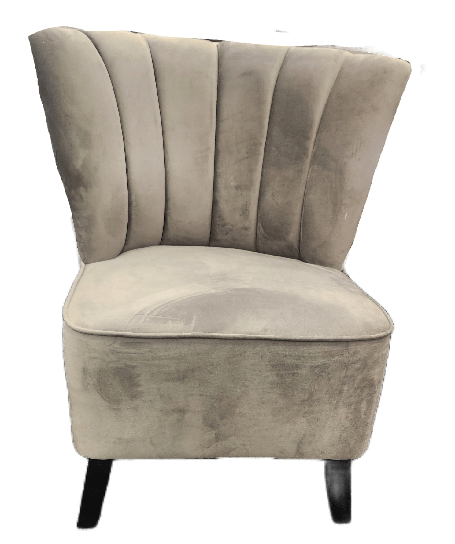 Zara Occasional Chair Fluxx Dolphin Velvet Light Grey - Metro Homecentre Menlyn
